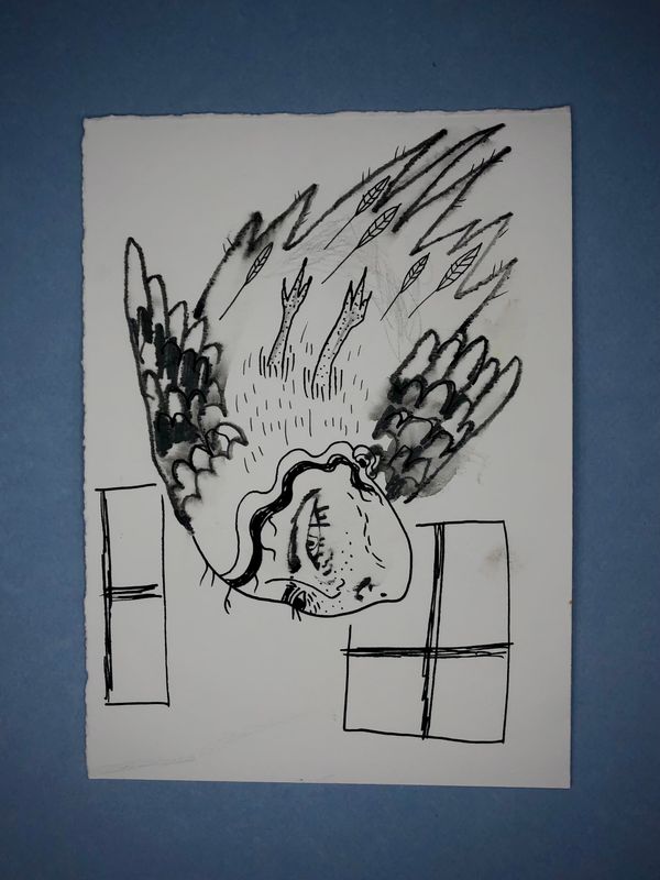 Serie Bestias de grafito