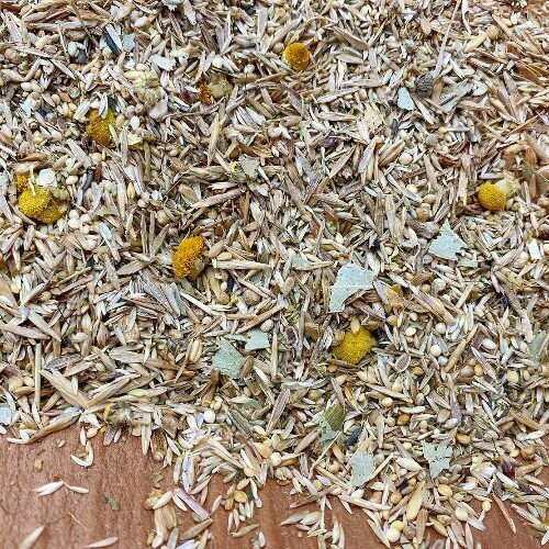 Wellensittich Australien 1000 g Wellensittich Australien 1000 g