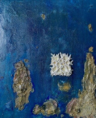 Save the Reef